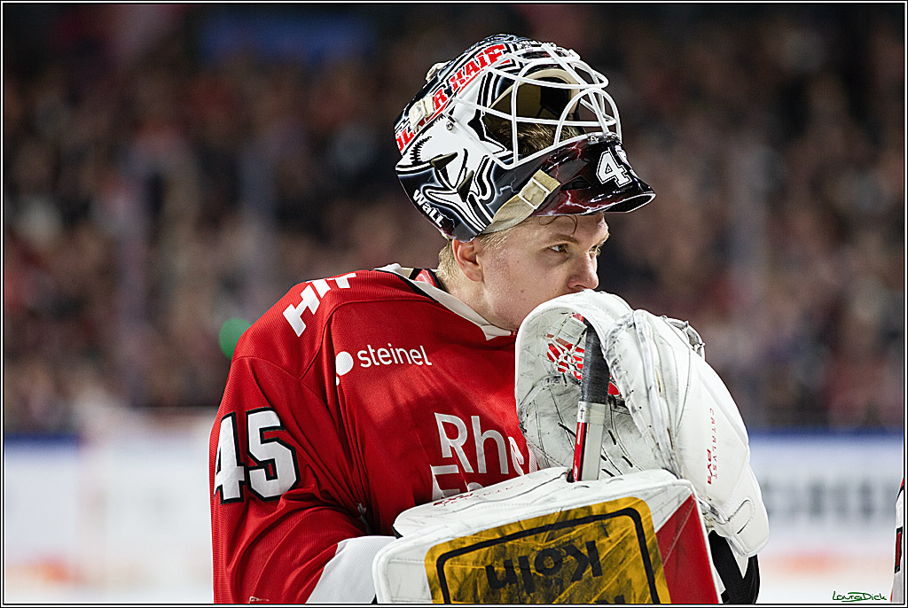 PENNY DEL; Koelner Haie- Schwenninger Wild Wings; Koeln, 14.01.2024