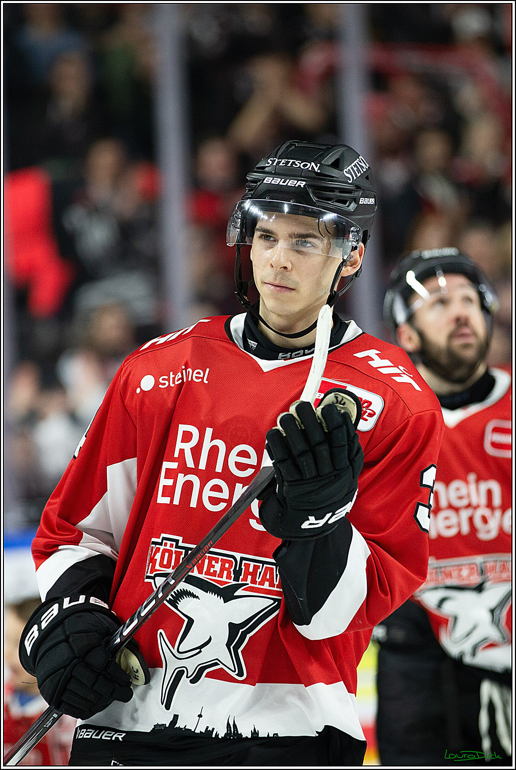 PENNY DEL; Koelner Haie- Schwenninger Wild Wings; Koeln, 14.01.2024