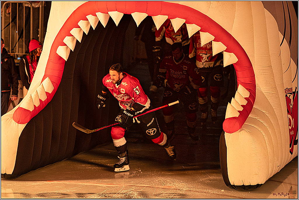 PENNY DEL 1; Kölner Haie - Schwenninger Wild Wings; Köln, 14.01.2024