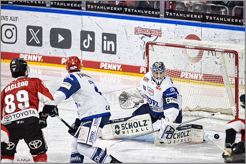 PENNY DEL 1; Kölner Haie - Schwenninger Wild Wings; Köln, 14.01.2024