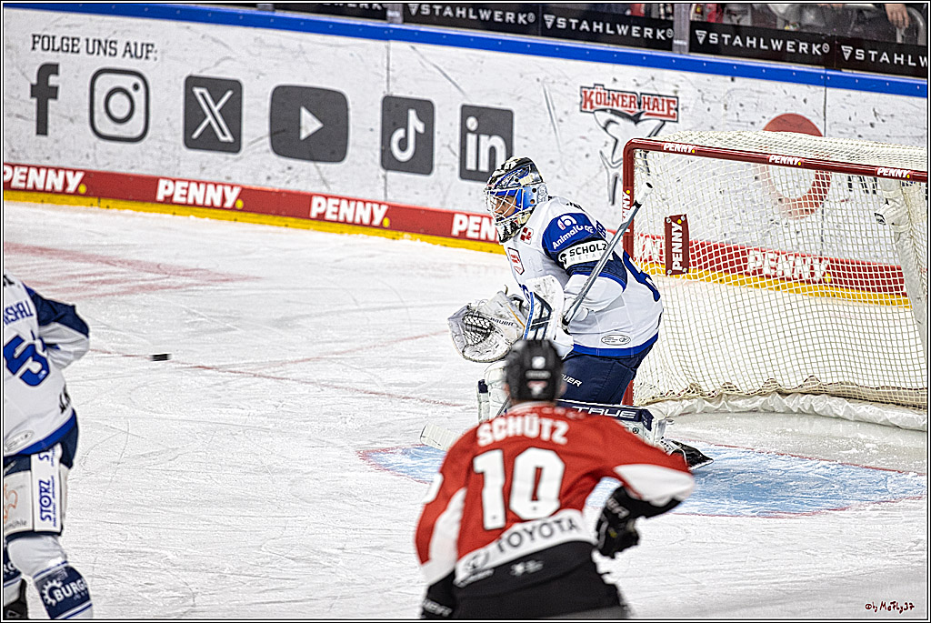 PENNY DEL 1; Kölner Haie - Schwenninger Wild Wings; Köln, 14.01.2024