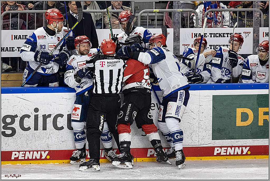 PENNY DEL 1; Kölner Haie - Schwenninger Wild Wings; Köln, 14.01.2024