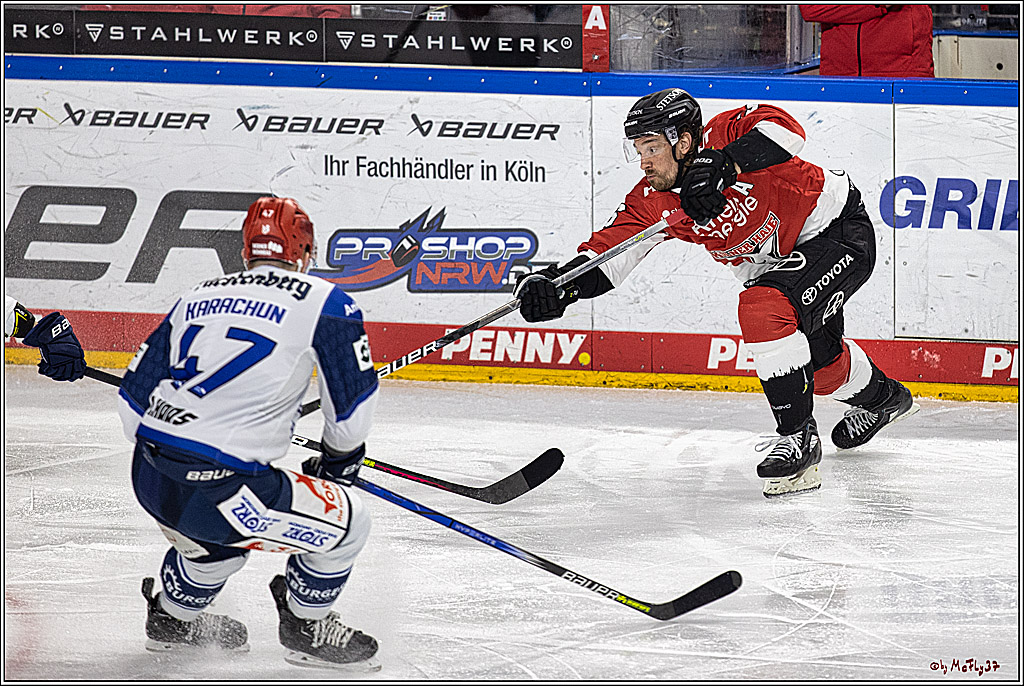 PENNY DEL 1; Kölner Haie - Schwenninger Wild Wings; Köln, 14.01.2024