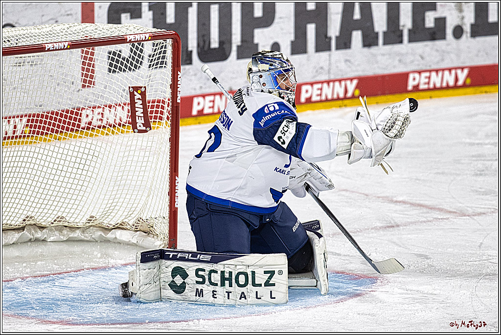 PENNY DEL 1; Kölner Haie - Schwenninger Wild Wings; Köln, 14.01.2024