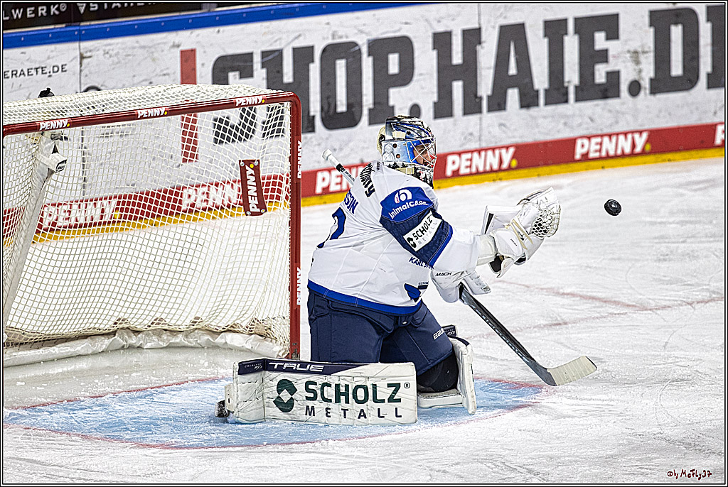 PENNY DEL 1; Kölner Haie - Schwenninger Wild Wings; Köln, 14.01.2024