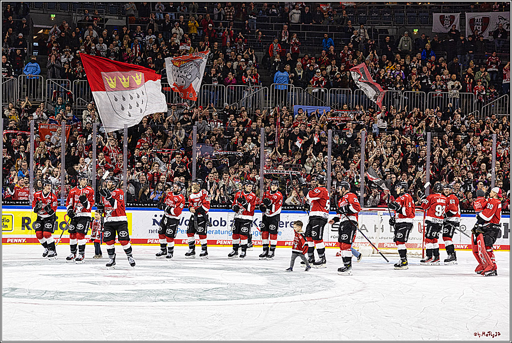 PENNY DEL 1; Kölner Haie - Schwenninger Wild Wings; Köln, 14.01.2024