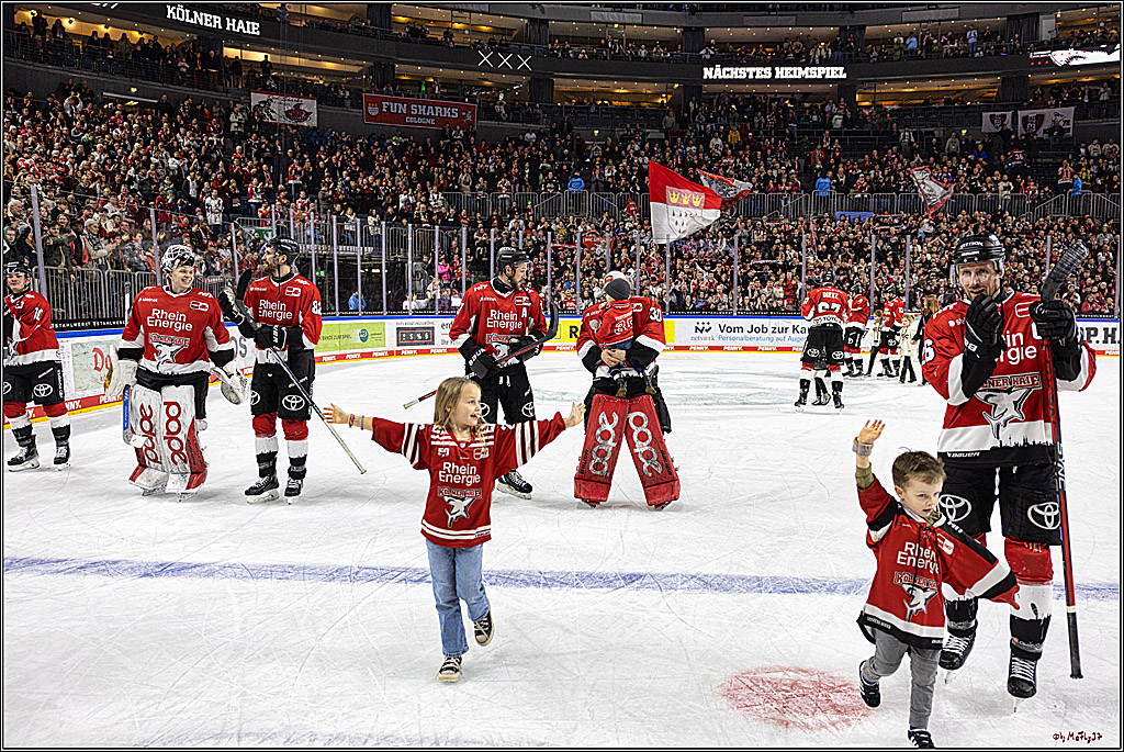 PENNY DEL 1; Kölner Haie - Schwenninger Wild Wings; Köln, 14.01.2024