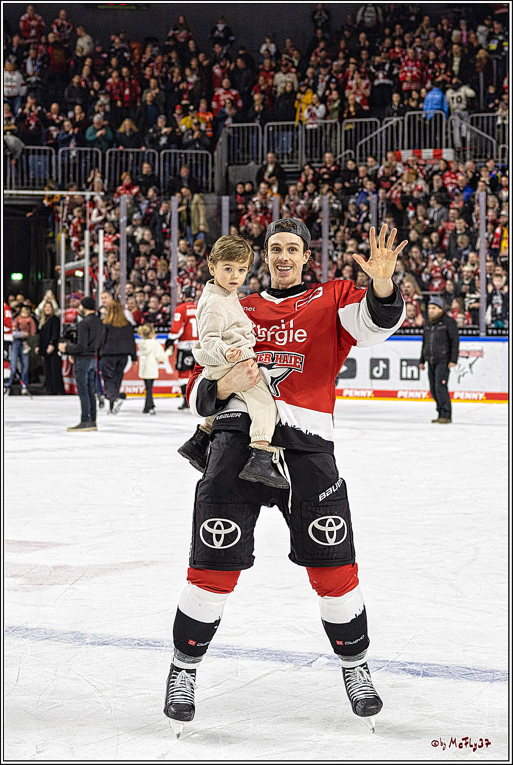 PENNY DEL 1; Kölner Haie - Schwenninger Wild Wings; Köln, 14.01.2024