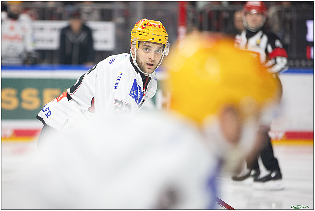 PENNY DEL; Koelner Haie- Fischtown Pinguins Bremerhaven; Koeln, 30.01.2024