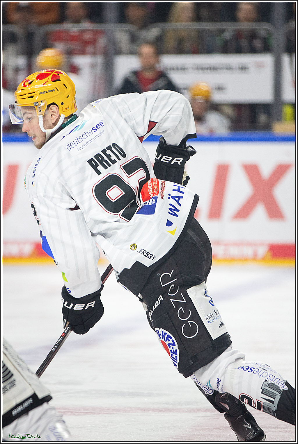 PENNY DEL; Koelner Haie- Fischtown Pinguins Bremerhaven; Koeln, 30.01.2024