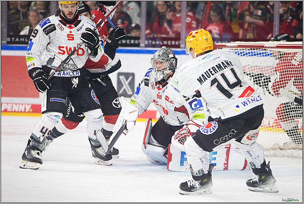 PENNY DEL; Koelner Haie- Fischtown Pinguins Bremerhaven; Koeln, 30.01.2024