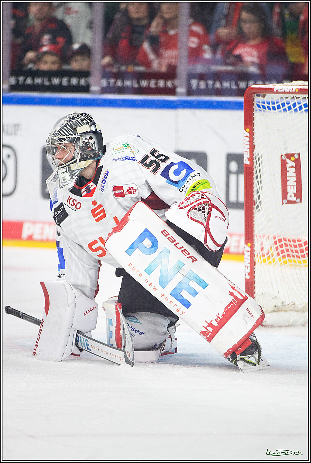 PENNY DEL; Koelner Haie- Fischtown Pinguins Bremerhaven; Koeln, 30.01.2024