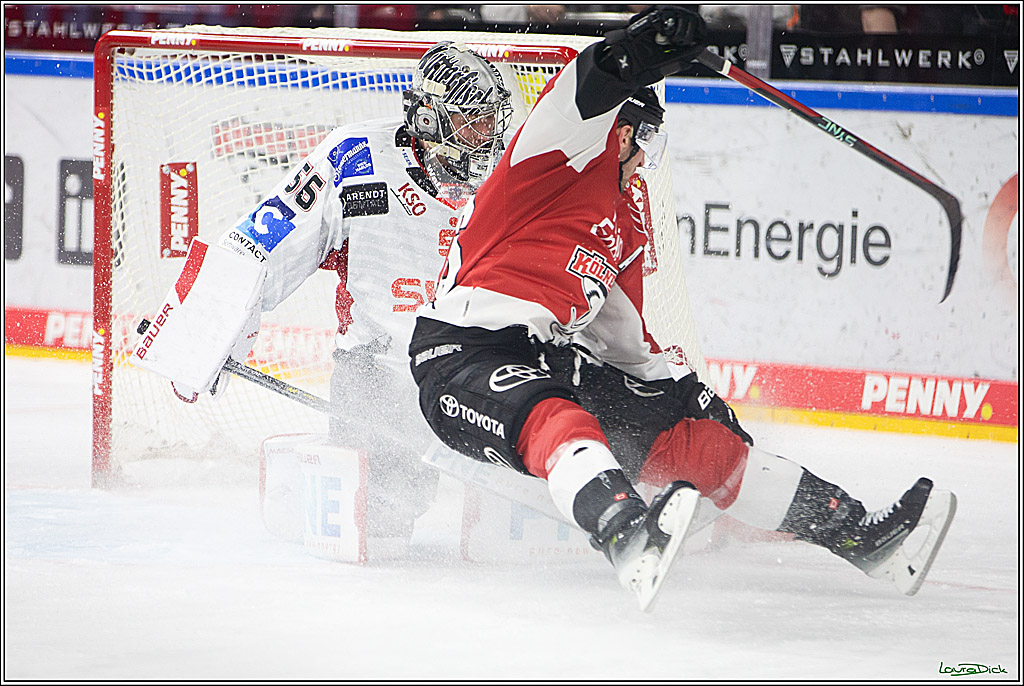 PENNY DEL; Koelner Haie- Fischtown Pinguins Bremerhaven; Koeln, 30.01.2024