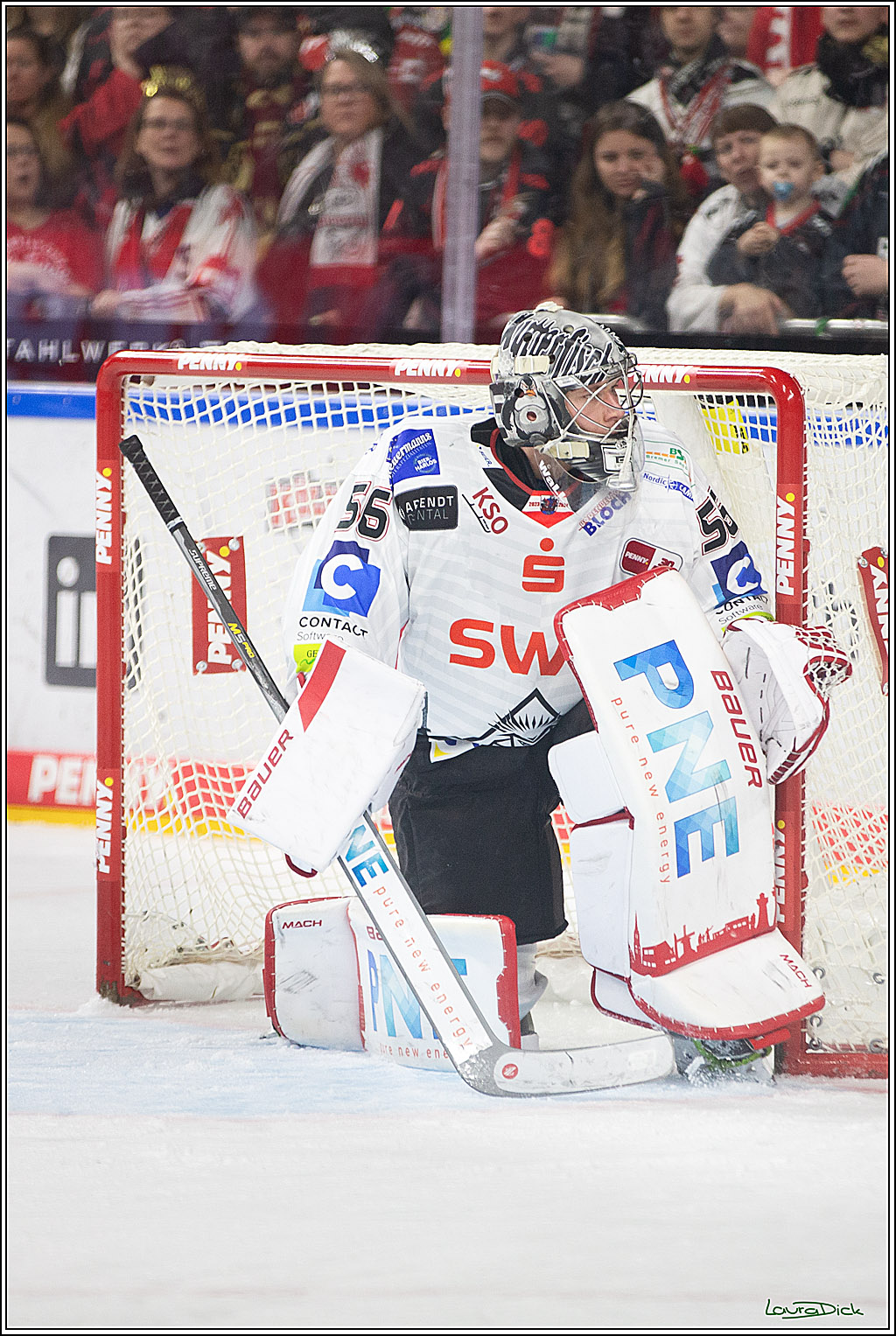PENNY DEL; Koelner Haie- Fischtown Pinguins Bremerhaven; Koeln, 30.01.2024
