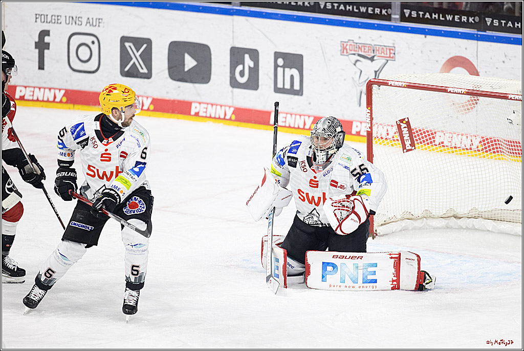 PENNY DEL 1; Kölner Haie - Fischtown Pinguins Bremerhaven; Köln, 30.01.2024