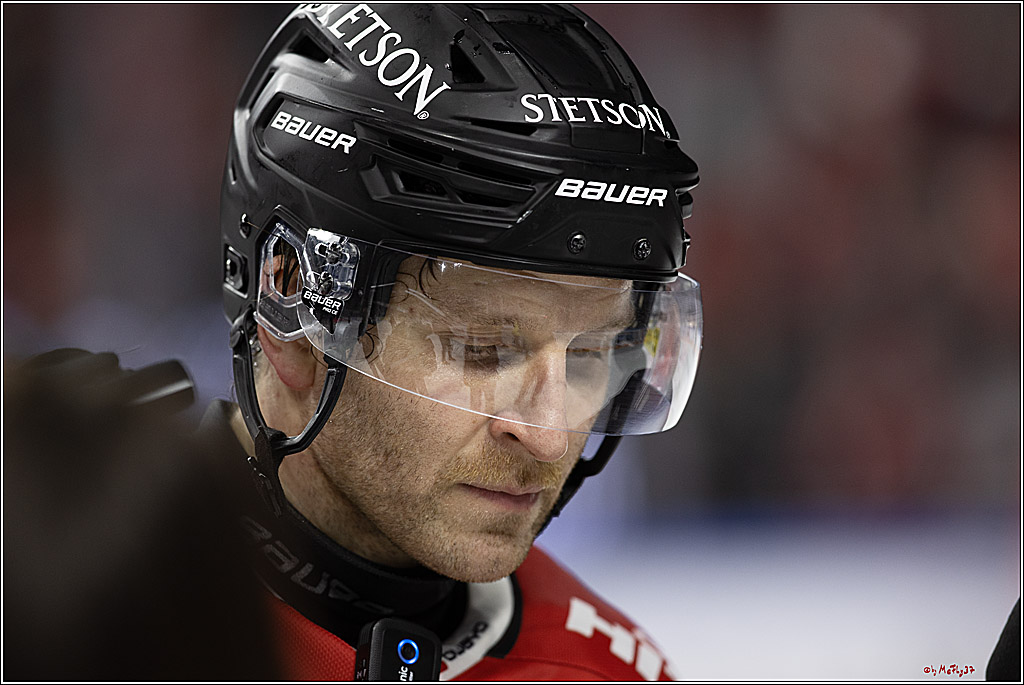 PENNY DEL 1; Kölner Haie - Fischtown Pinguins Bremerhaven; Köln, 30.01.2024