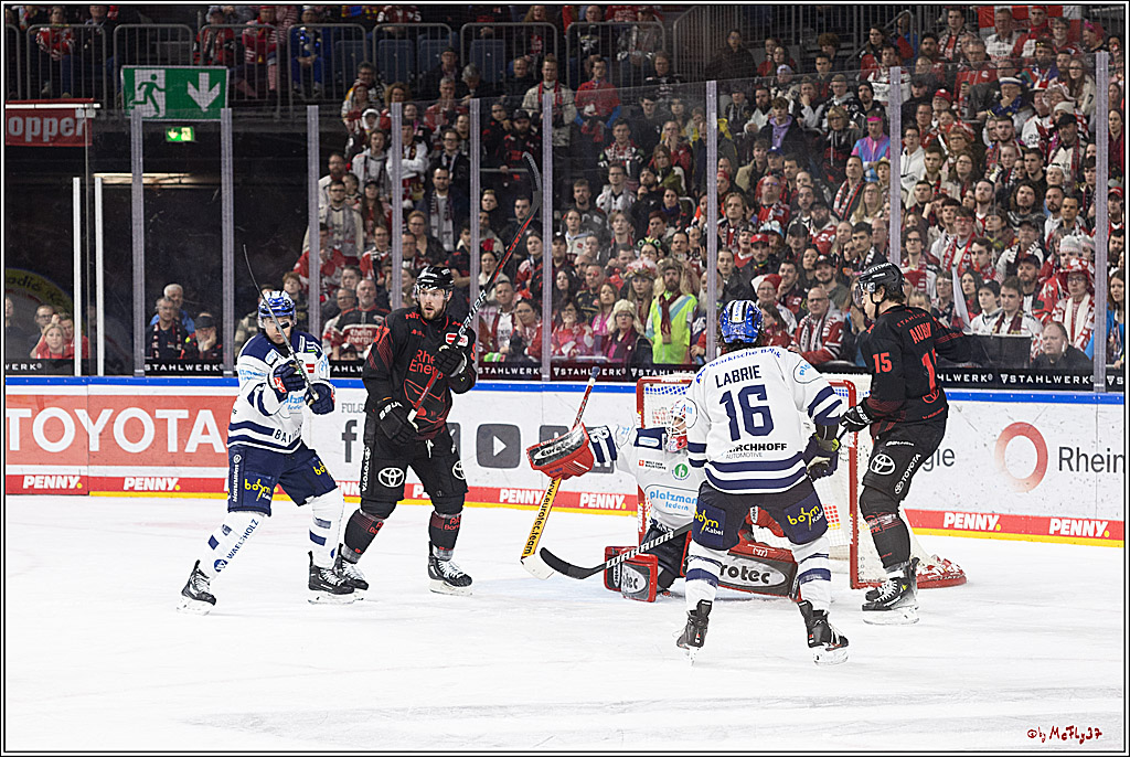 PENNY DEL 1; Kölner Haie - Iserlohn Roosters; Köln, 13.02.2024