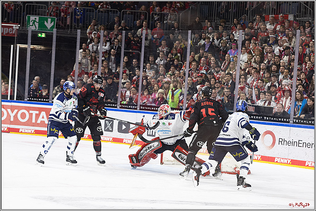 PENNY DEL 1; Kölner Haie - Iserlohn Roosters; Köln, 13.02.2024