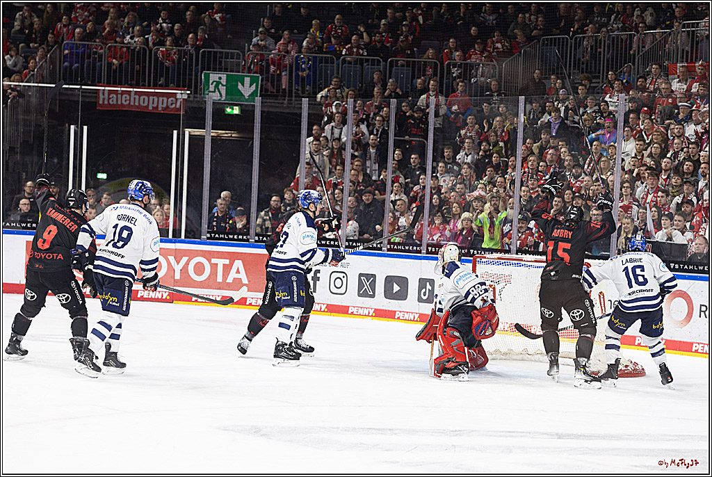 PENNY DEL 1; Kölner Haie - Iserlohn Roosters; Köln, 13.02.2024