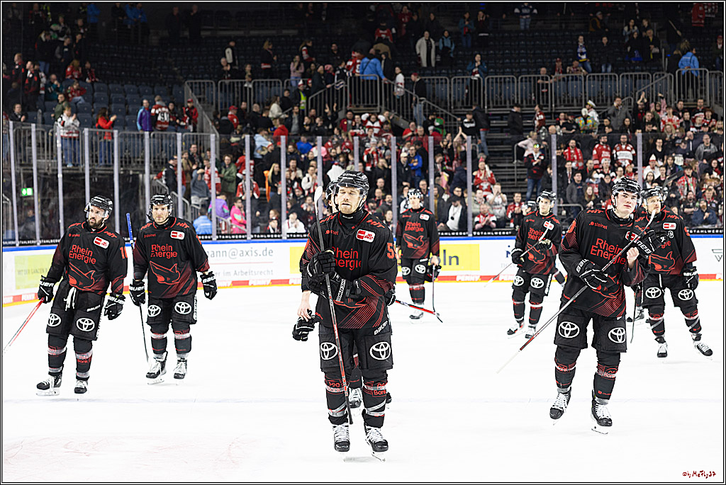 PENNY DEL 1; Kölner Haie - Iserlohn Roosters; Köln, 13.02.2024