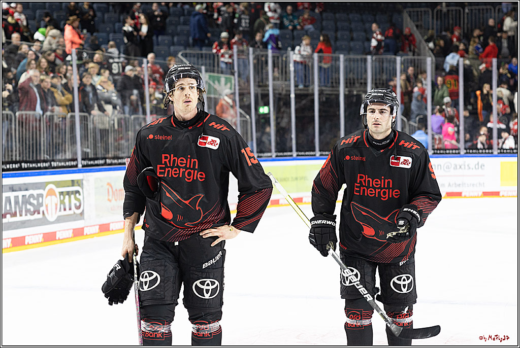 PENNY DEL 1; Kölner Haie - Iserlohn Roosters; Köln, 13.02.2024