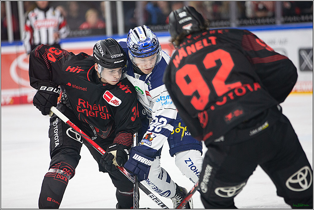 PENNY DEL; Koelner Haie- Iserlohn Roosters; Koeln, 13.02.2024