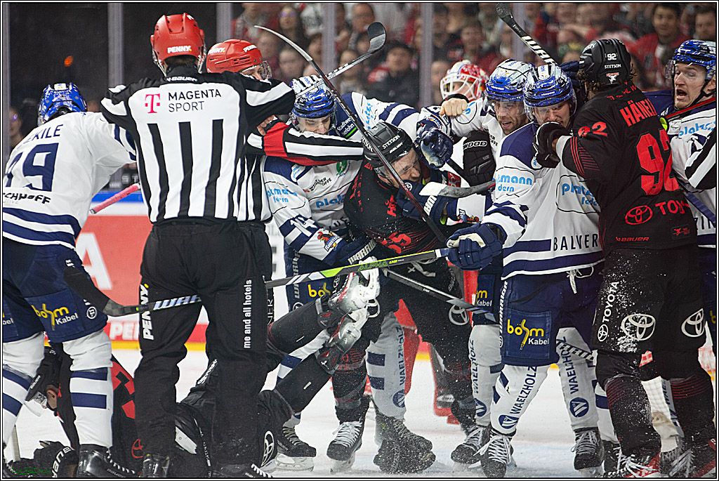 PENNY DEL; Koelner Haie- Iserlohn Roosters; Koeln, 13.02.2024