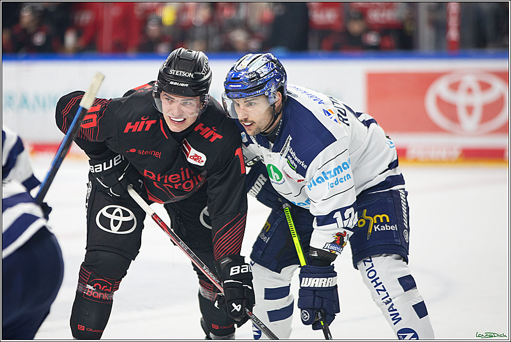 PENNY DEL; Koelner Haie- Iserlohn Roosters; Koeln, 13.02.2024