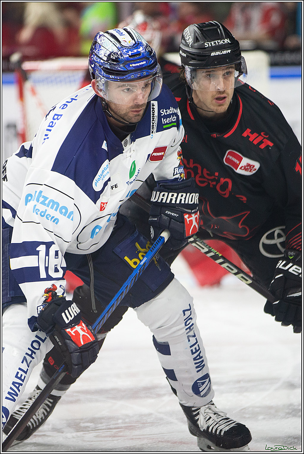 PENNY DEL; Koelner Haie- Iserlohn Roosters; Koeln, 13.02.2024