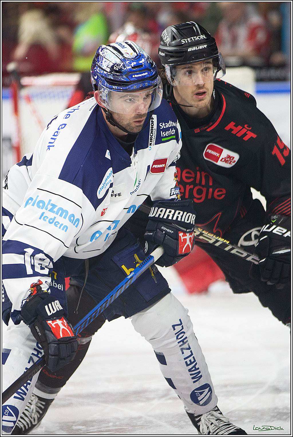 PENNY DEL; Koelner Haie- Iserlohn Roosters; Koeln, 13.02.2024