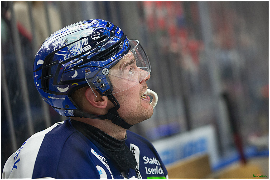 PENNY DEL; Koelner Haie- Iserlohn Roosters; Koeln, 13.02.2024