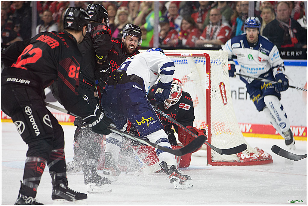PENNY DEL; Koelner Haie- Iserlohn Roosters; Koeln, 13.02.2024