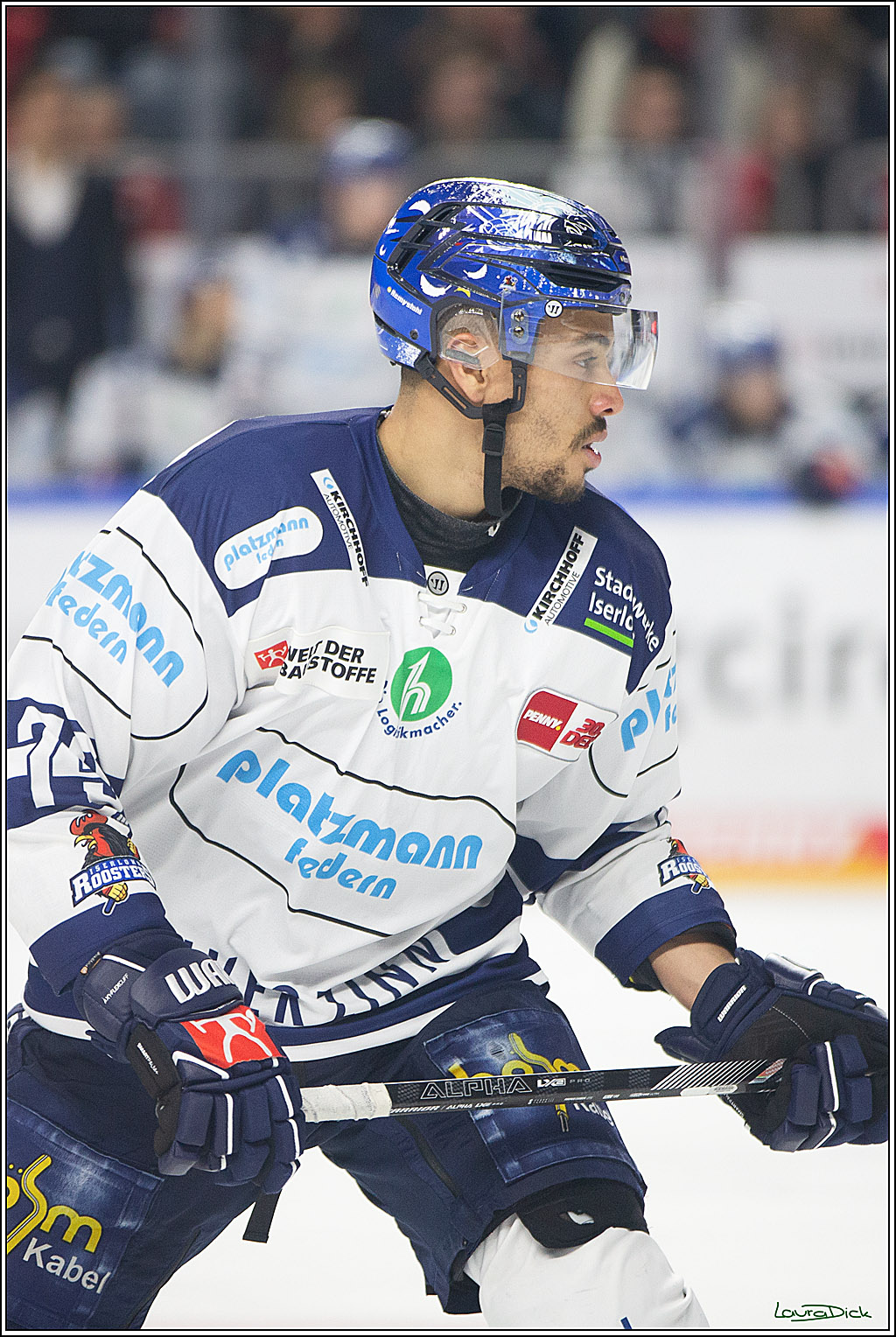 PENNY DEL; Koelner Haie- Iserlohn Roosters; Koeln, 13.02.2024