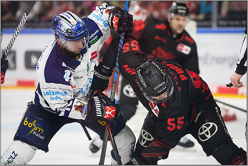 PENNY DEL; Koelner Haie- Iserlohn Roosters; Koeln, 13.02.2024