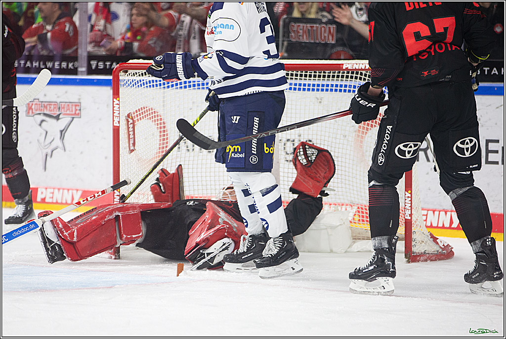 PENNY DEL; Koelner Haie- Iserlohn Roosters; Koeln, 13.02.2024