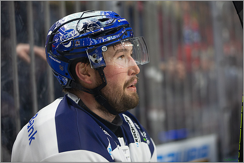 PENNY DEL; Koelner Haie- Iserlohn Roosters; Koeln, 13.02.2024