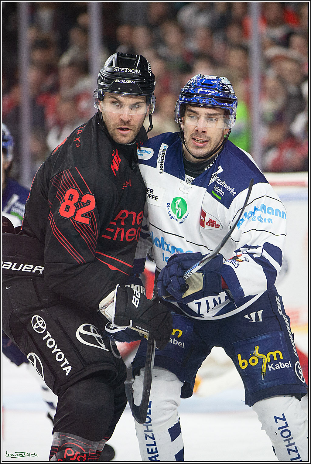 PENNY DEL; Koelner Haie- Iserlohn Roosters; Koeln, 13.02.2024