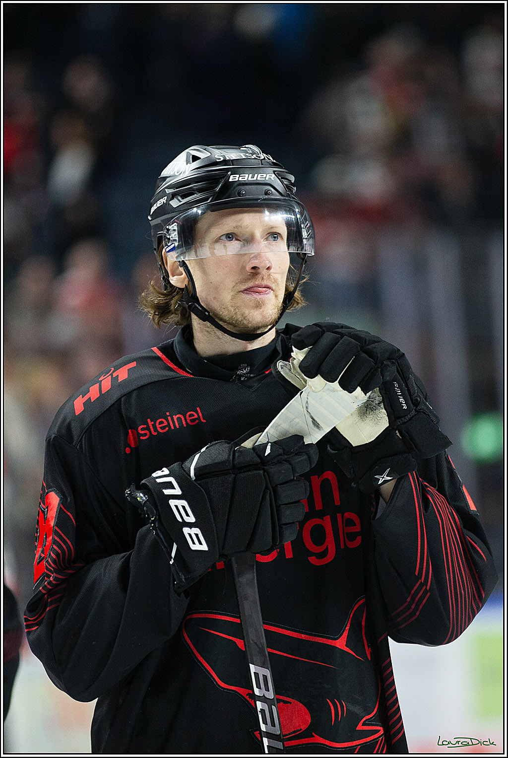 PENNY DEL; Koelner Haie- Iserlohn Roosters; Koeln, 13.02.2024