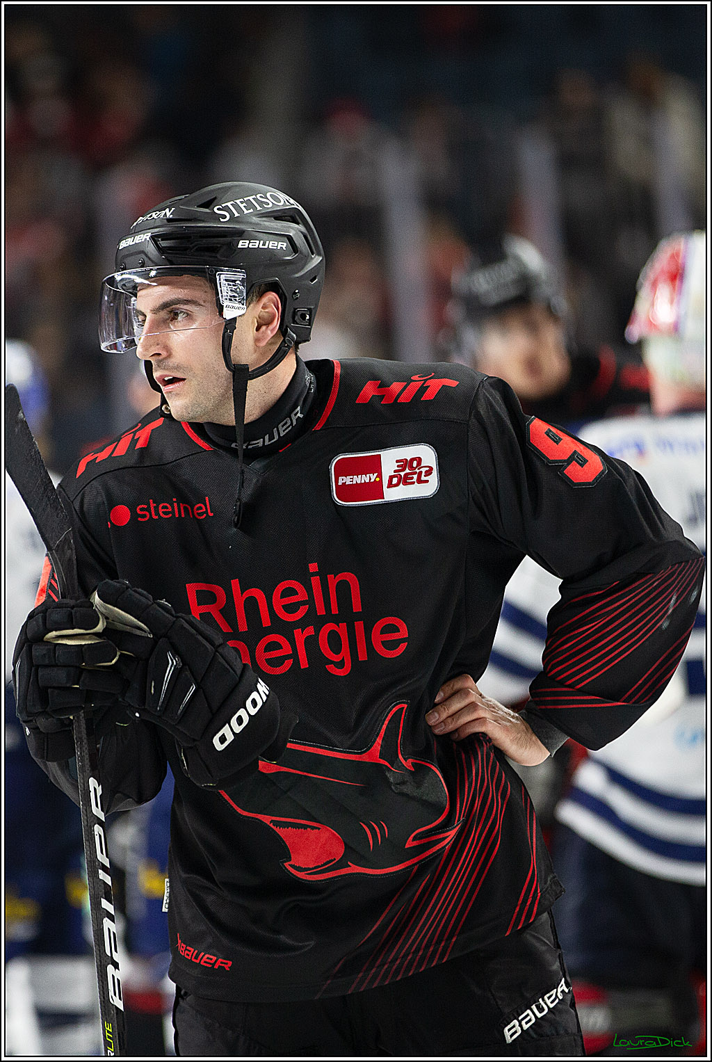 PENNY DEL; Koelner Haie- Iserlohn Roosters; Koeln, 13.02.2024