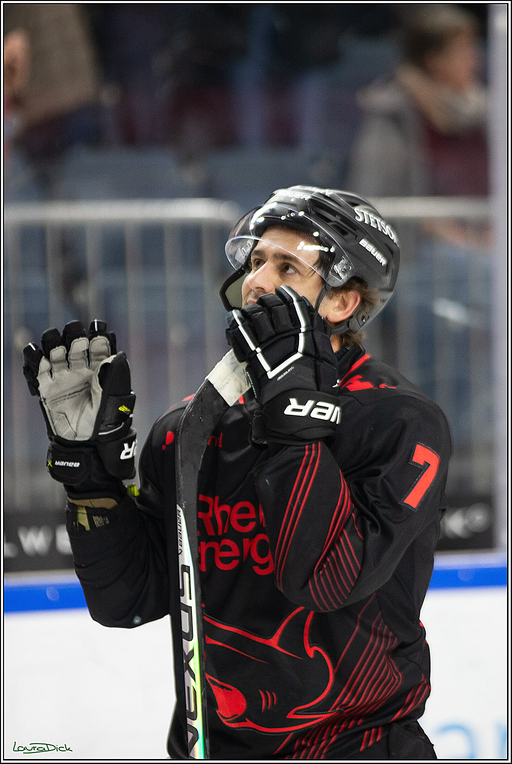 PENNY DEL; Koelner Haie- Iserlohn Roosters; Koeln, 13.02.2024