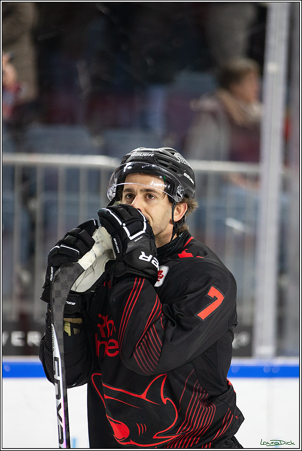 PENNY DEL; Koelner Haie- Iserlohn Roosters; Koeln, 13.02.2024