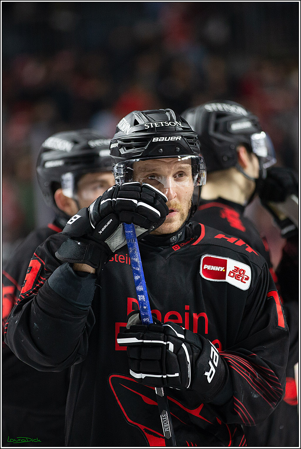 PENNY DEL; Koelner Haie- Iserlohn Roosters; Koeln, 13.02.2024