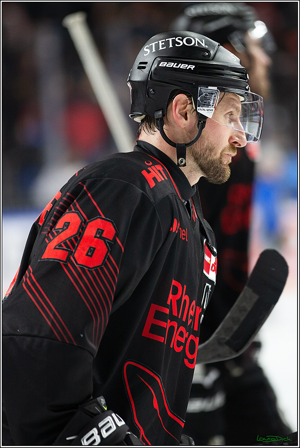 PENNY DEL; Koelner Haie- Iserlohn Roosters; Koeln, 13.02.2024