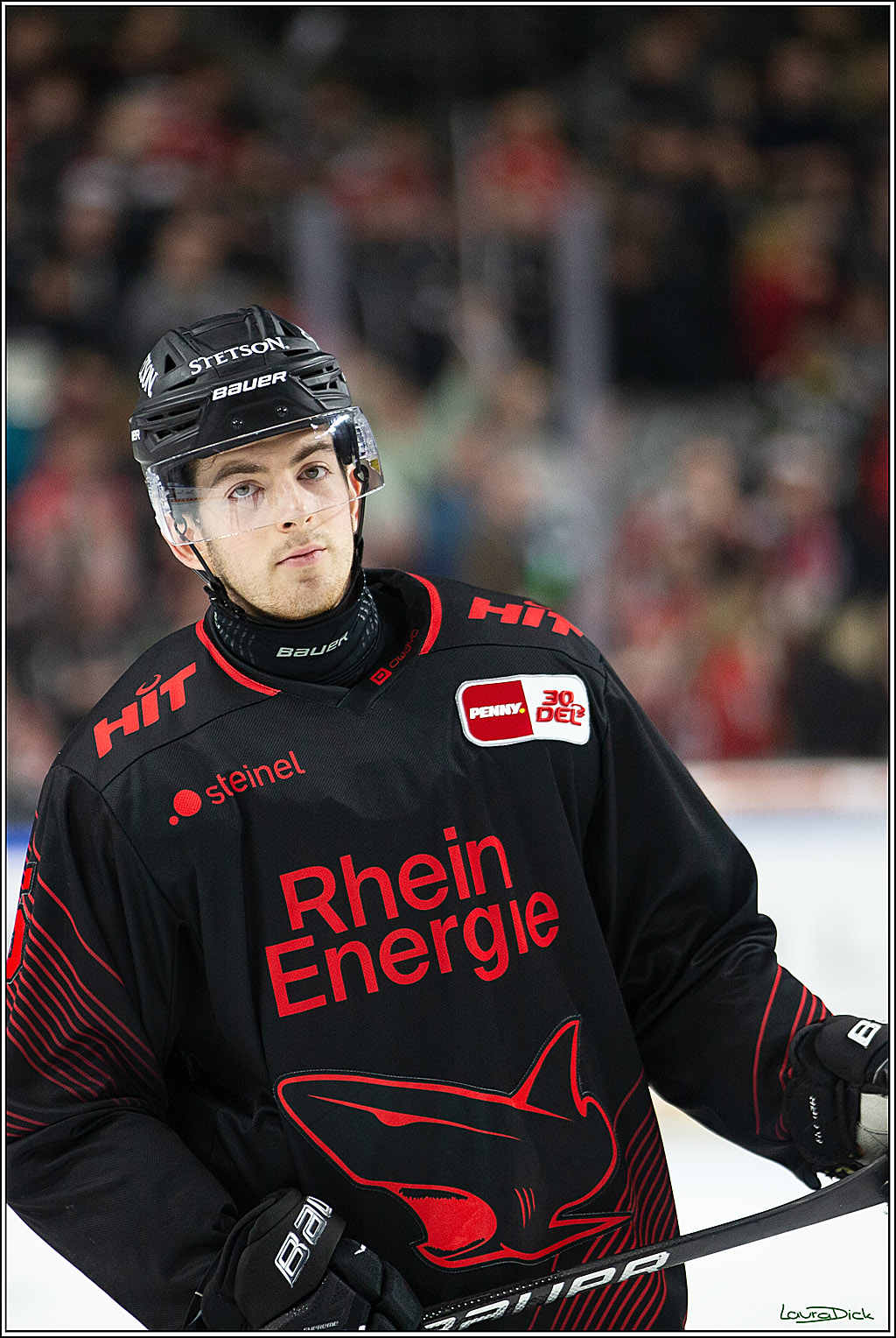 PENNY DEL; Koelner Haie- Iserlohn Roosters; Koeln, 13.02.2024
