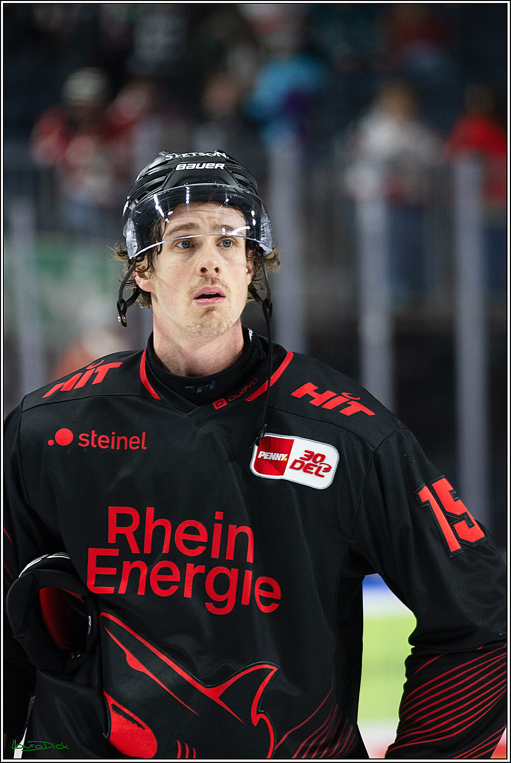 PENNY DEL; Koelner Haie- Iserlohn Roosters; Koeln, 13.02.2024