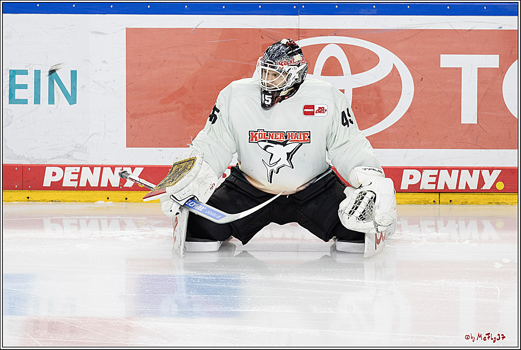 PENNY DEL 1; Kölner Haie - Iserlohn Roosters; Köln, 13.02.2024
