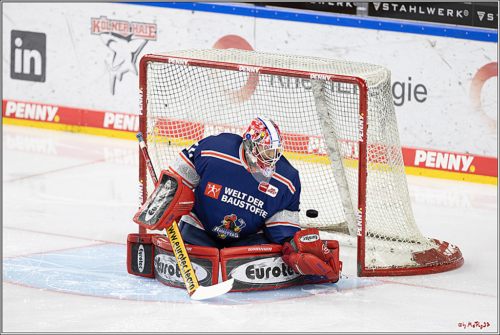 PENNY DEL 1; Kölner Haie - Iserlohn Roosters; Köln, 13.02.2024