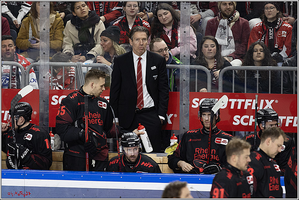 PENNY DEL 1; Kölner Haie - Iserlohn Roosters; Köln, 13.02.2024