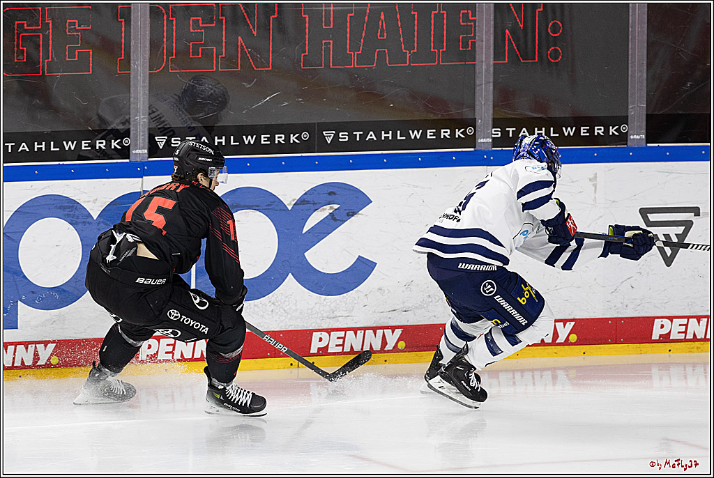 PENNY DEL 1; Kölner Haie - Iserlohn Roosters; Köln, 13.02.2024