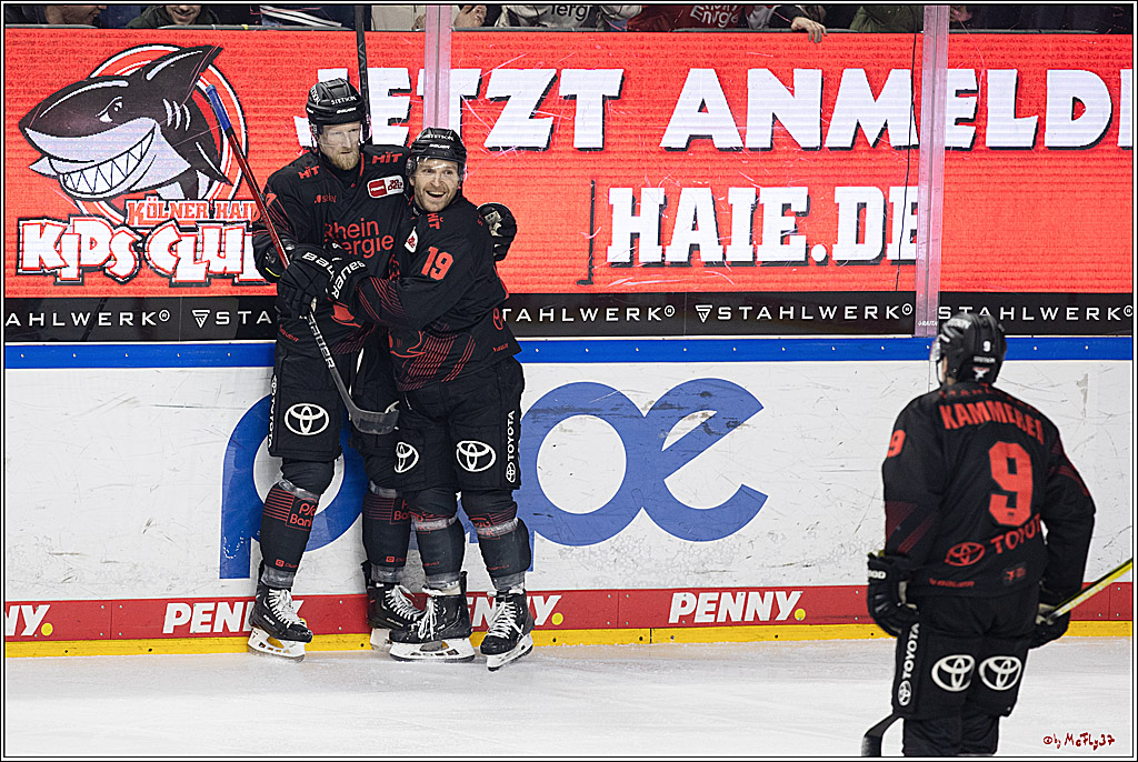 PENNY DEL 1; Kölner Haie - Iserlohn Roosters; Köln, 13.02.2024